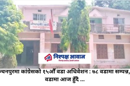 कञ्चनपुरमा कांग्रेसको १५औँ वडा अधिवेशन : ७८ वडामा सम्पन्न, १४ वडामा आज हुँदै