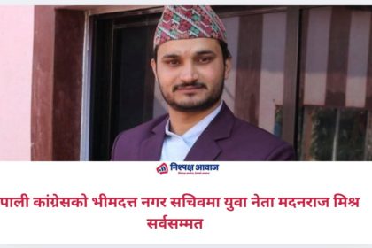 नेपाली कांग्रेसको भीमदत्त नगर सचिवमा युवा नेता मदनराज मिश्र सर्वसम्मत